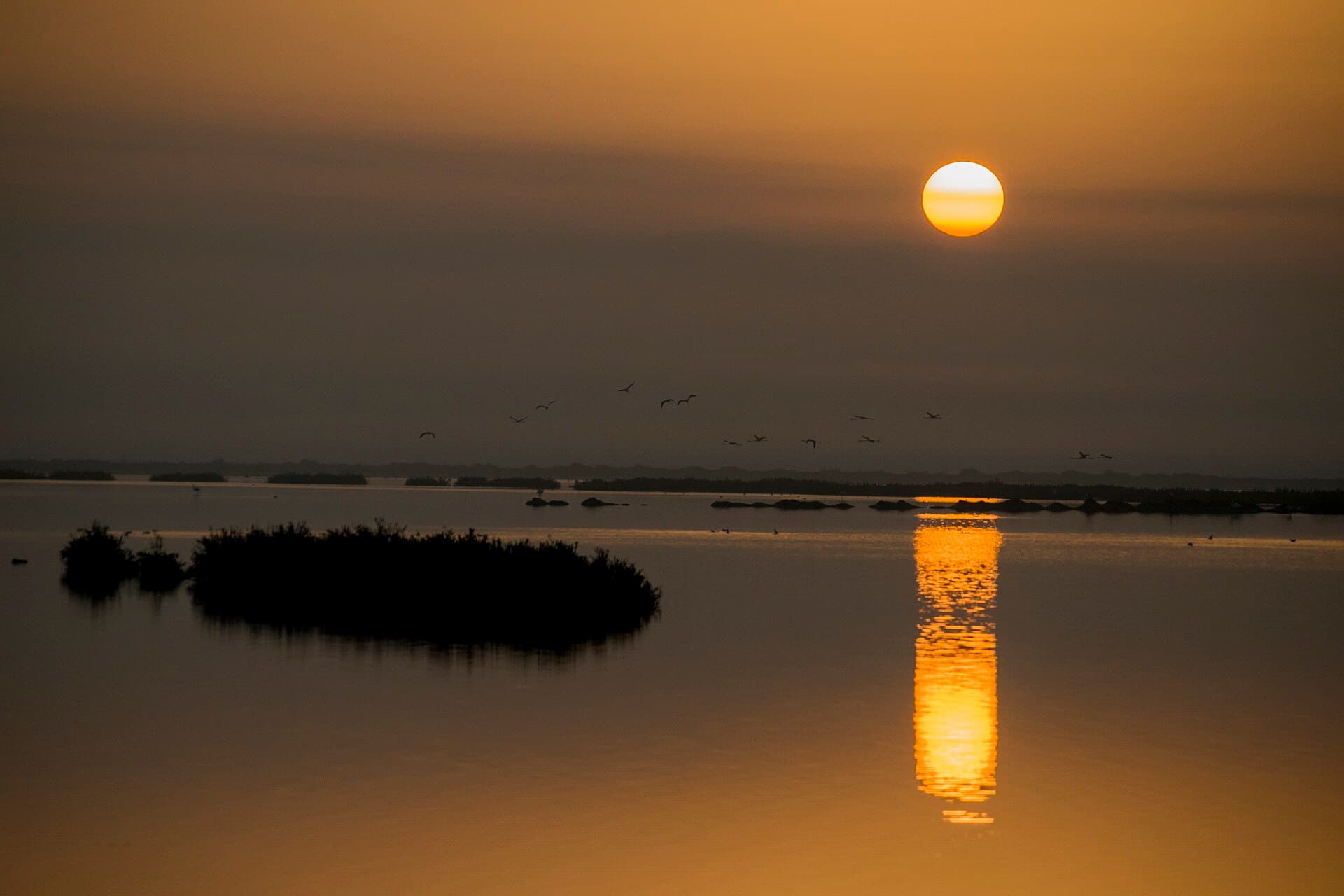 Amanecer sobre las marismas de Doñana
